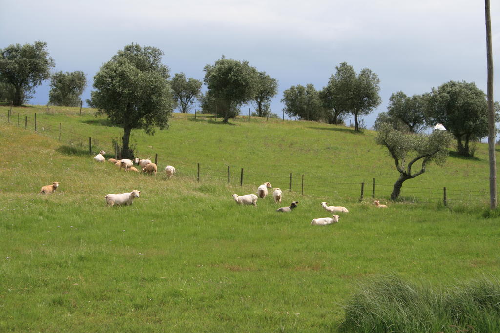 O Vale Da Mudanca Villa Monte da Pedra Alva Cameră foto