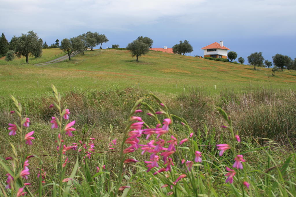 O Vale Da Mudanca Villa Monte da Pedra Alva Cameră foto